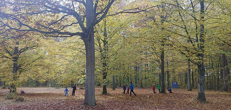 Waldkindergarten BRK Herbst